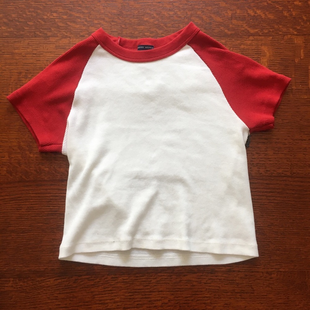 Brandy Melville Crop Top